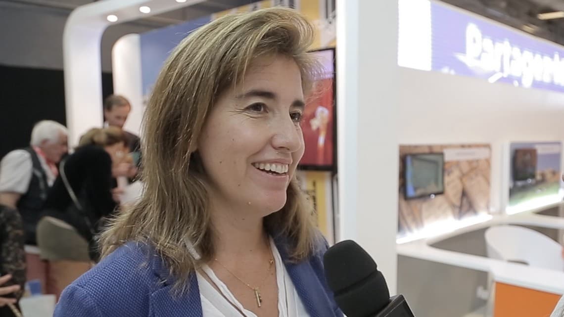 ana-mendes-godinho
