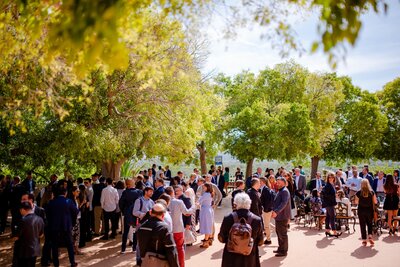 Con-X conference: Majorca 2019