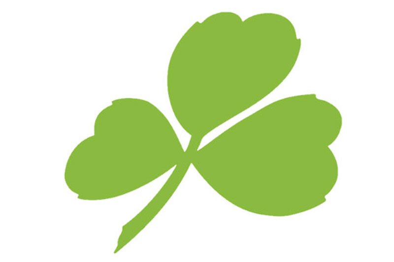 Aer Lingus signs Irish tech firm to harness customer data