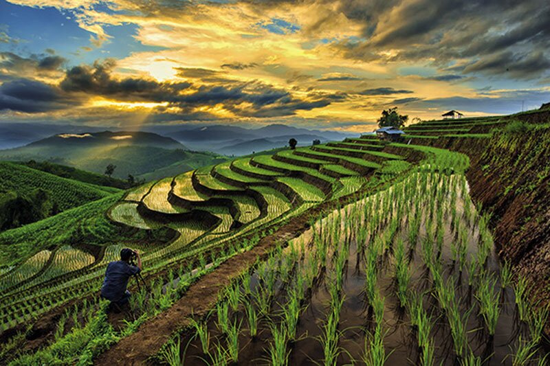 Wendy Wu ups agent commission in October to drive up online sales