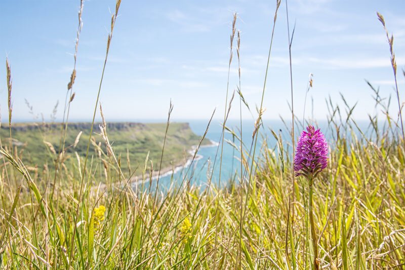 ‘Bed and Brexit’ effect helps late summer domestic bookings surge