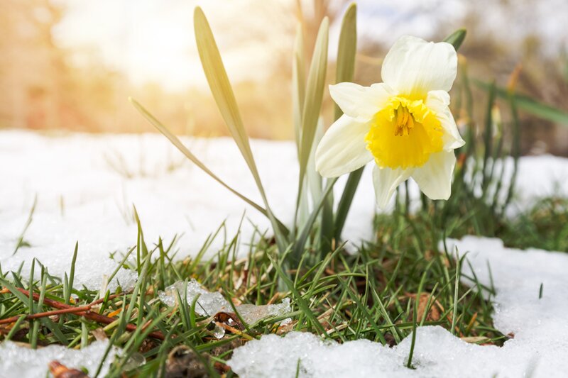 ‘White Easter’ prospect triggers 61% surge in online travel bookings