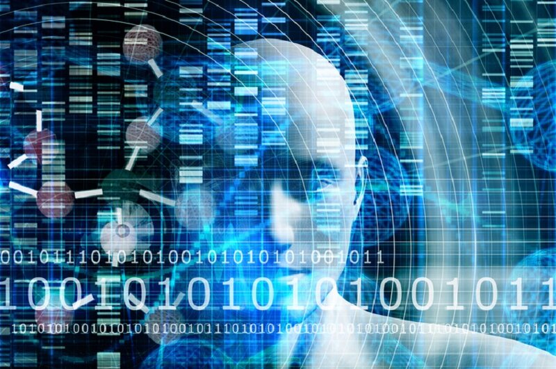 Personalisation helps Cunard and P&O increase ROI by 12