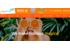 Disney specialist MagicBreaks broadens product range with launch of new website
