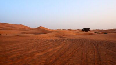 Travelport Future of Travel Retail