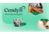Hotel tech firm Cendyn unveils new brand proposition