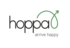 Analysis: Resorthoppa brought low by liquidation of Lowcost Travel Group