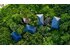 Accor launches Sustainability Innovation Program focused on water