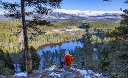 Big Interview: VisitScotland on the importance of its DAM