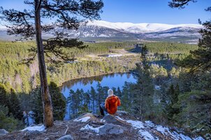 Sponsored Interview: VisitScotland on the importance of its DAM
