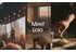KAYAK co-founders launch booking solution and loyalty programme Lola